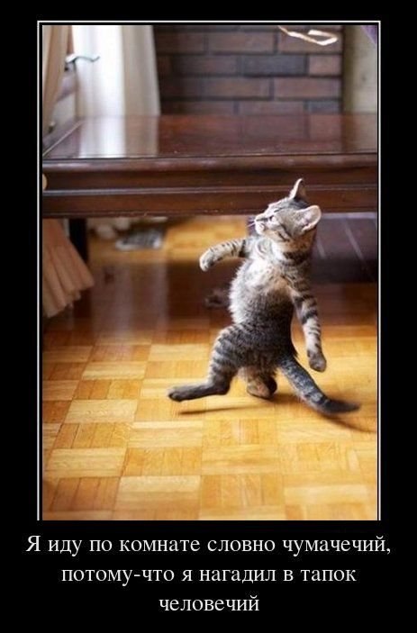 Екатерина Яковлева | Санкт-Петербург