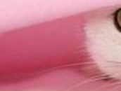 Катерина Котик | Минск