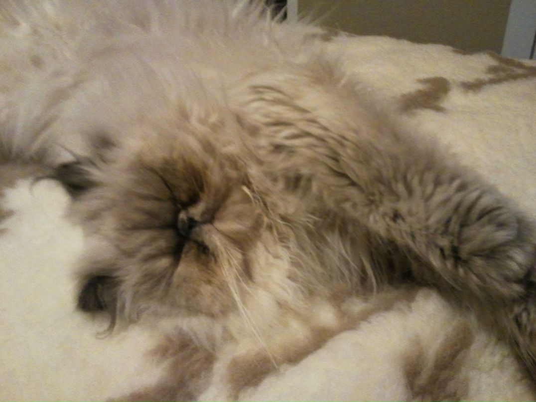 Настя Иванова | Херсон