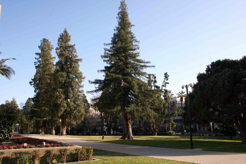 Олександр Чорний | Новомосковск