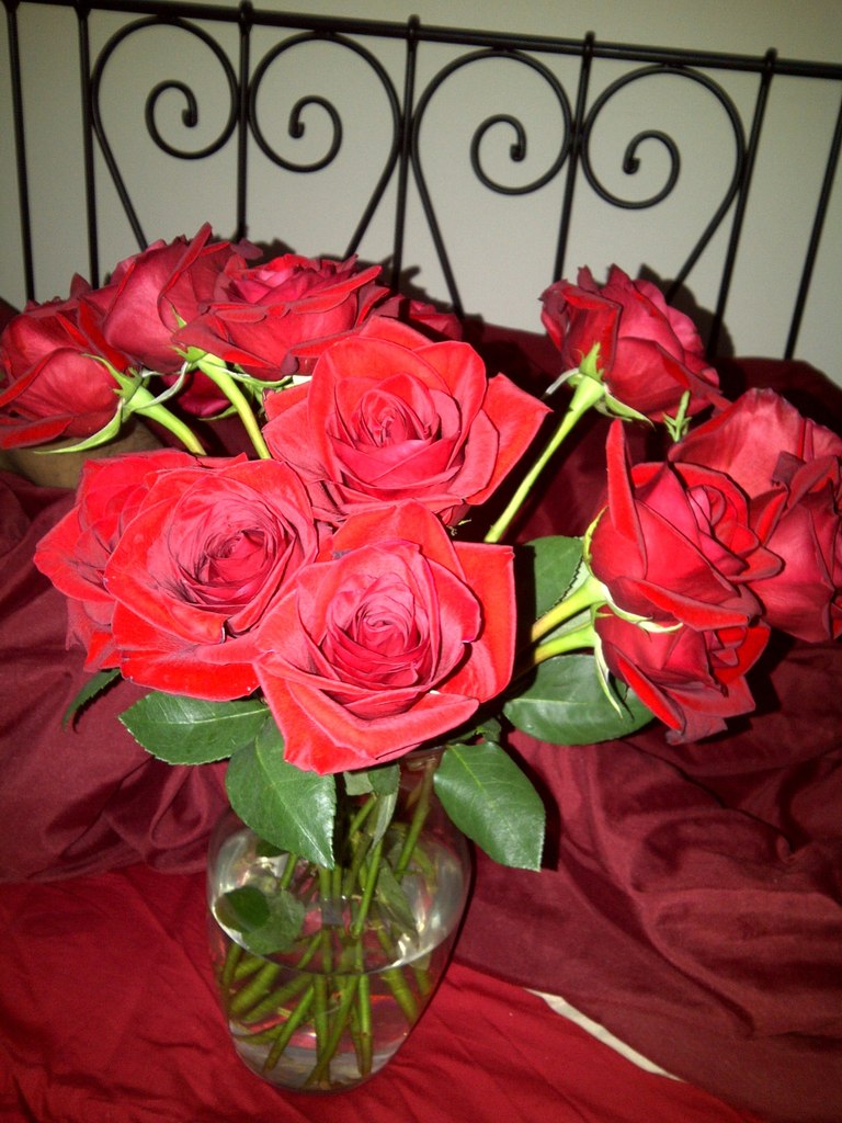 Мариам Эфендиева | Смоленск