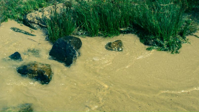 Владимир Шапран | Киев