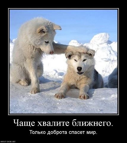 №41, Маргарита Еремина, 37 лет, Брянск №41, Маргарита Еремина, 37 лет, Брянск