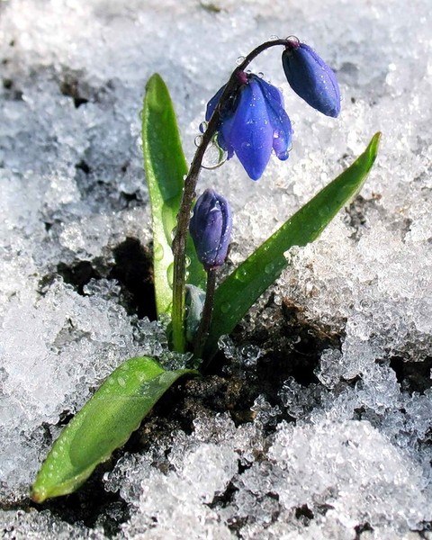 Александр Архипов | Верховцево