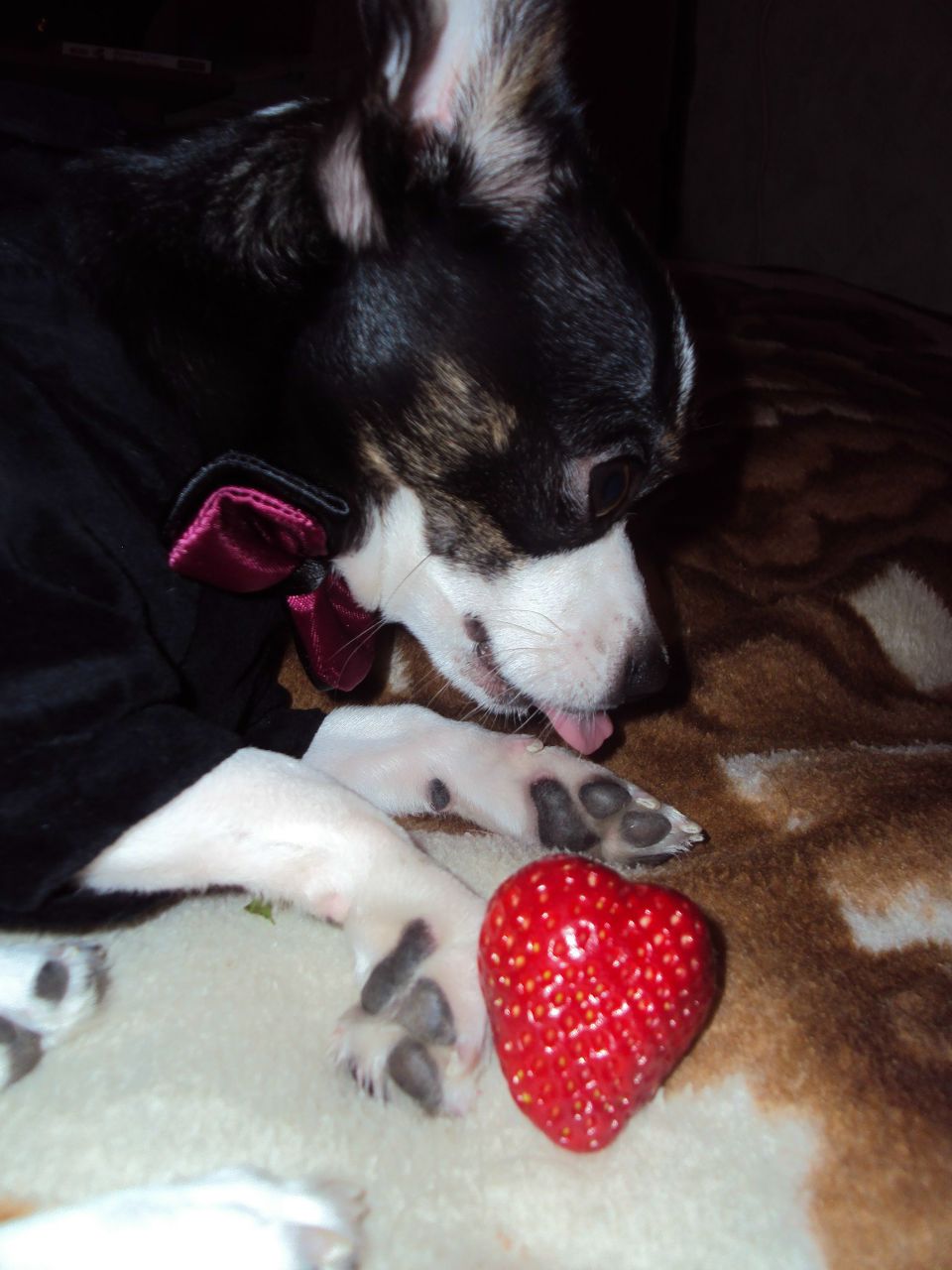 Юлия Семченко | Санкт-Петербург