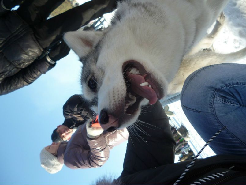 №65, Денис Борисик, 10.8.1989 №65, Денис Борисик, 10.8.1989