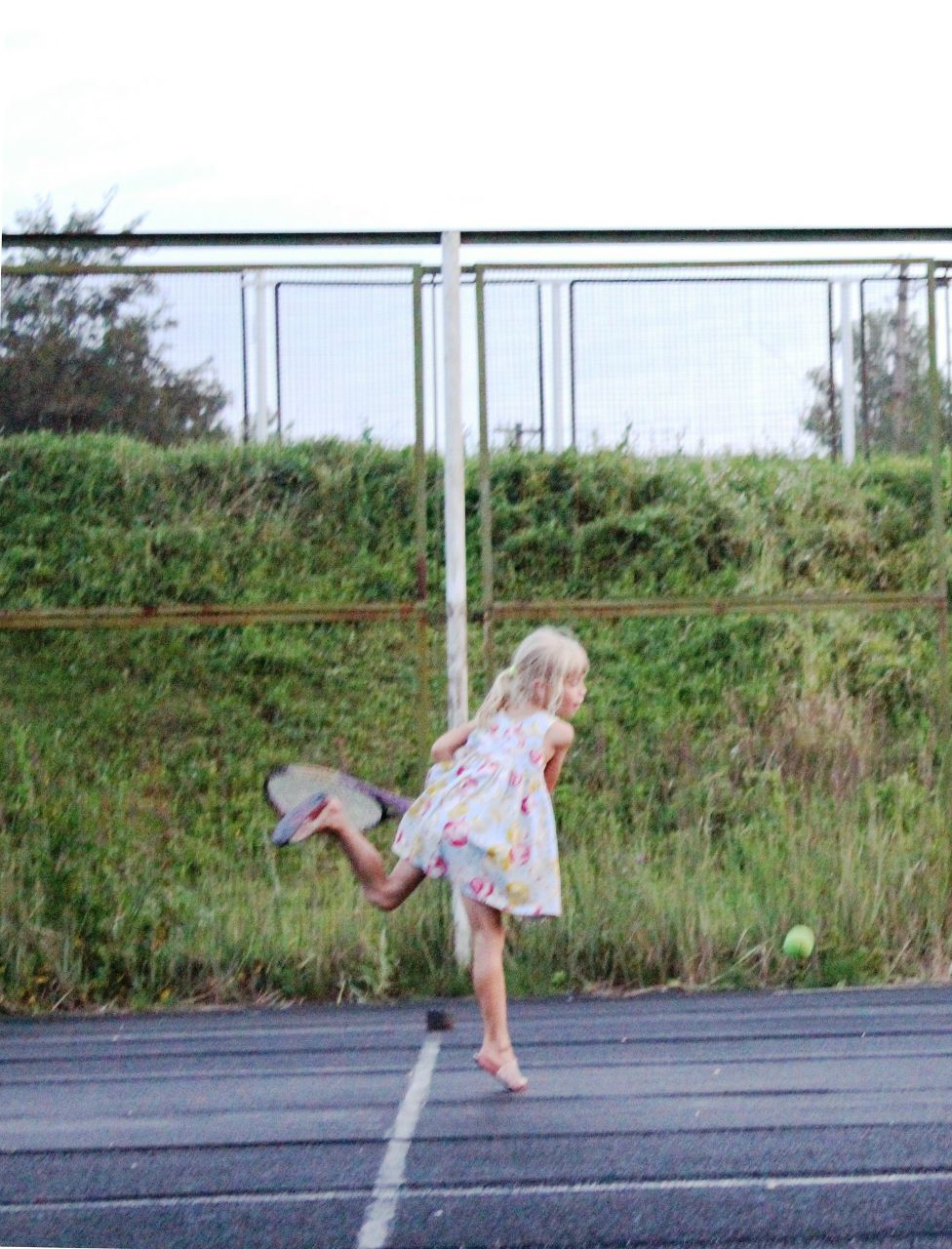 Алекса Волкова | Roma