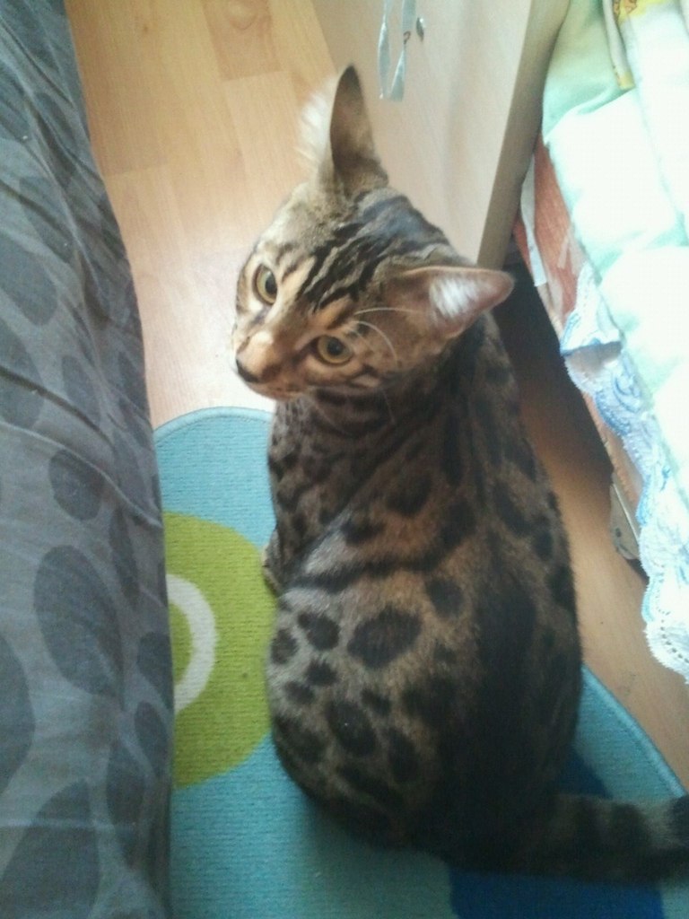 Леночка Кулакова | Наро-Фоминск