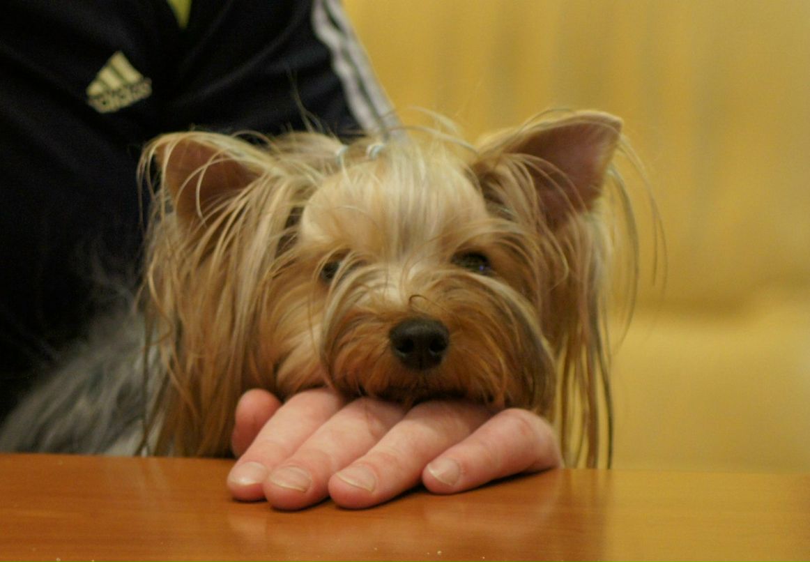 Александр Пушкарёв | Екатеринбург