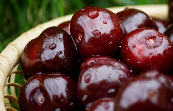 Аня Ерофеева | Казань