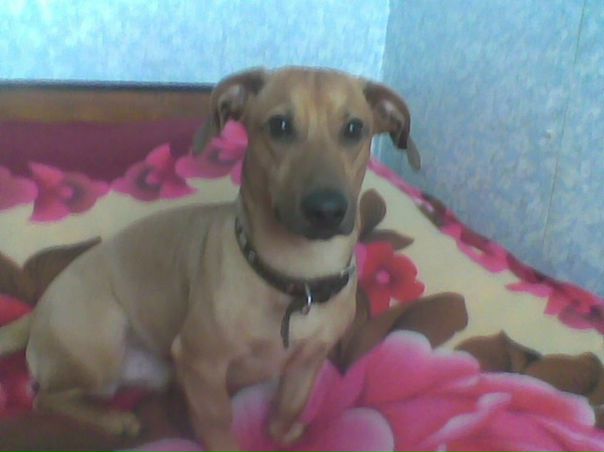 №14, Женёк Мазинов №14, Женёк Мазинов