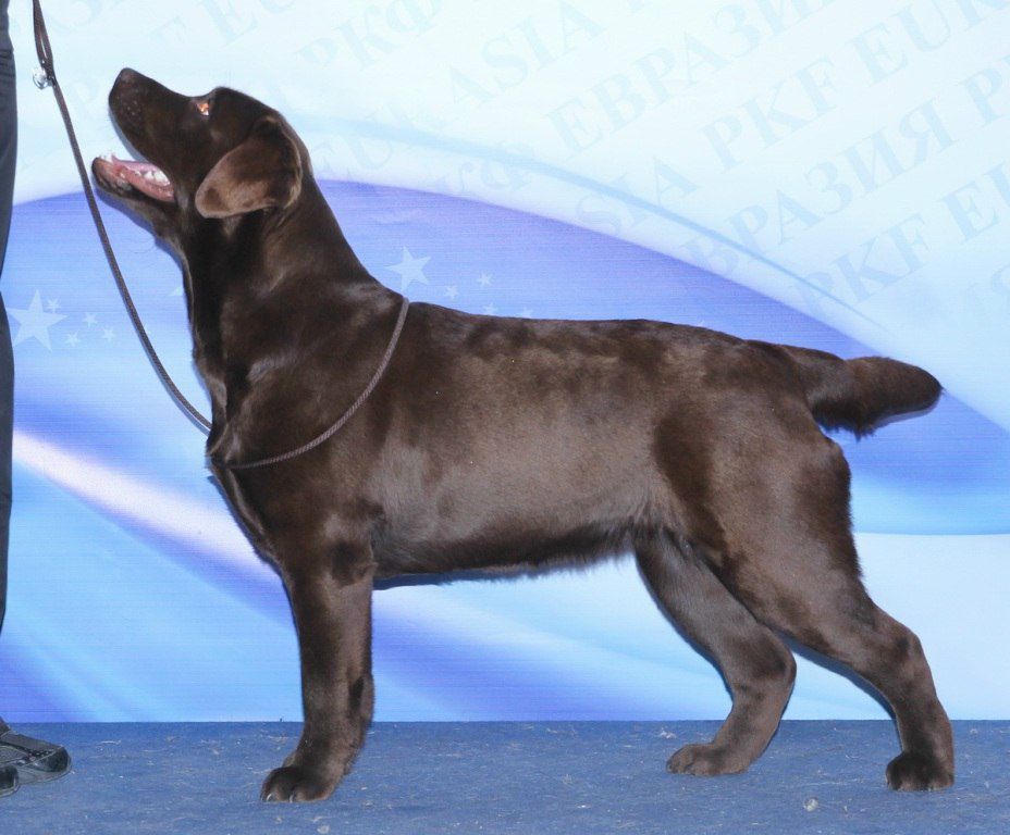 Оксана Омельченко | Челябинск