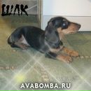 №17 Даша 14.09.1999: профиль, фото, статус - ВКонтакте №17 Даша 14.09.1999: профиль, фото, статус - ВКонтакте