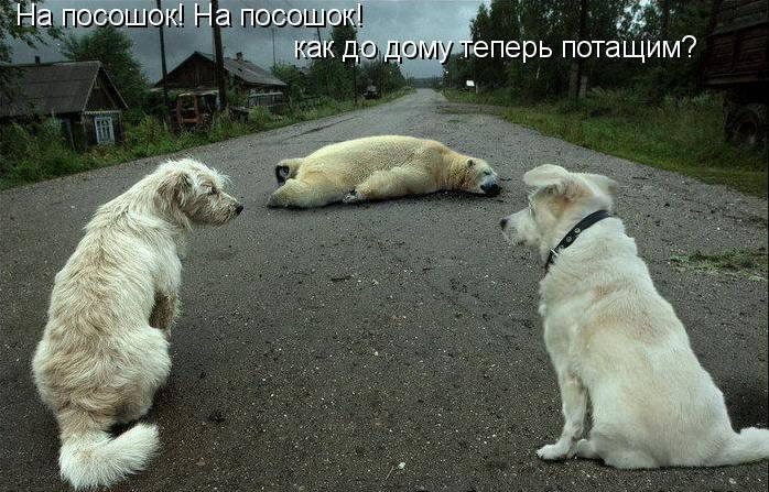 Дмитрий Феоктистов | Ульяновск