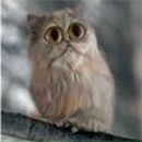 Татьяна Борисова | Ярославль