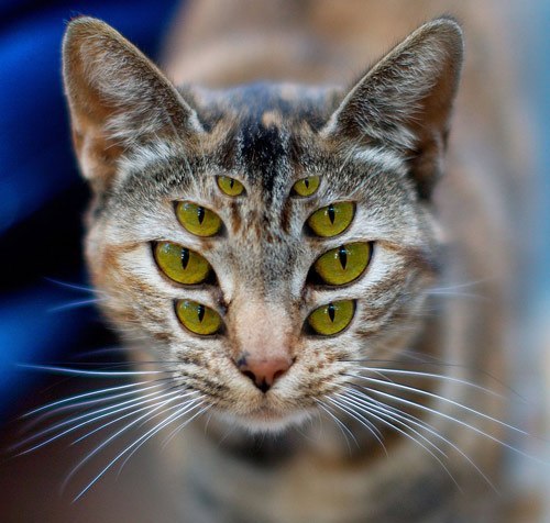 Саша Лёгенький | Тернополь