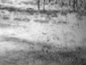 Анастасия Каратуева | Улан-Удэ