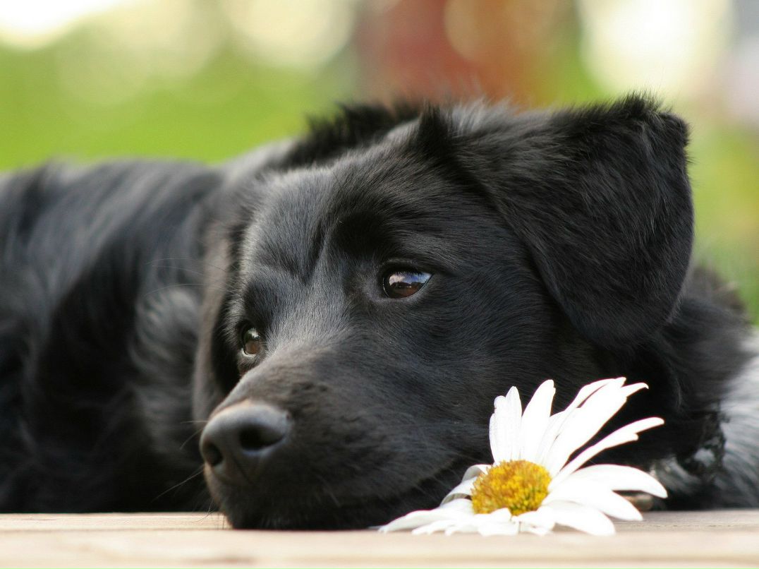 Наталья Прокофьева | Казань