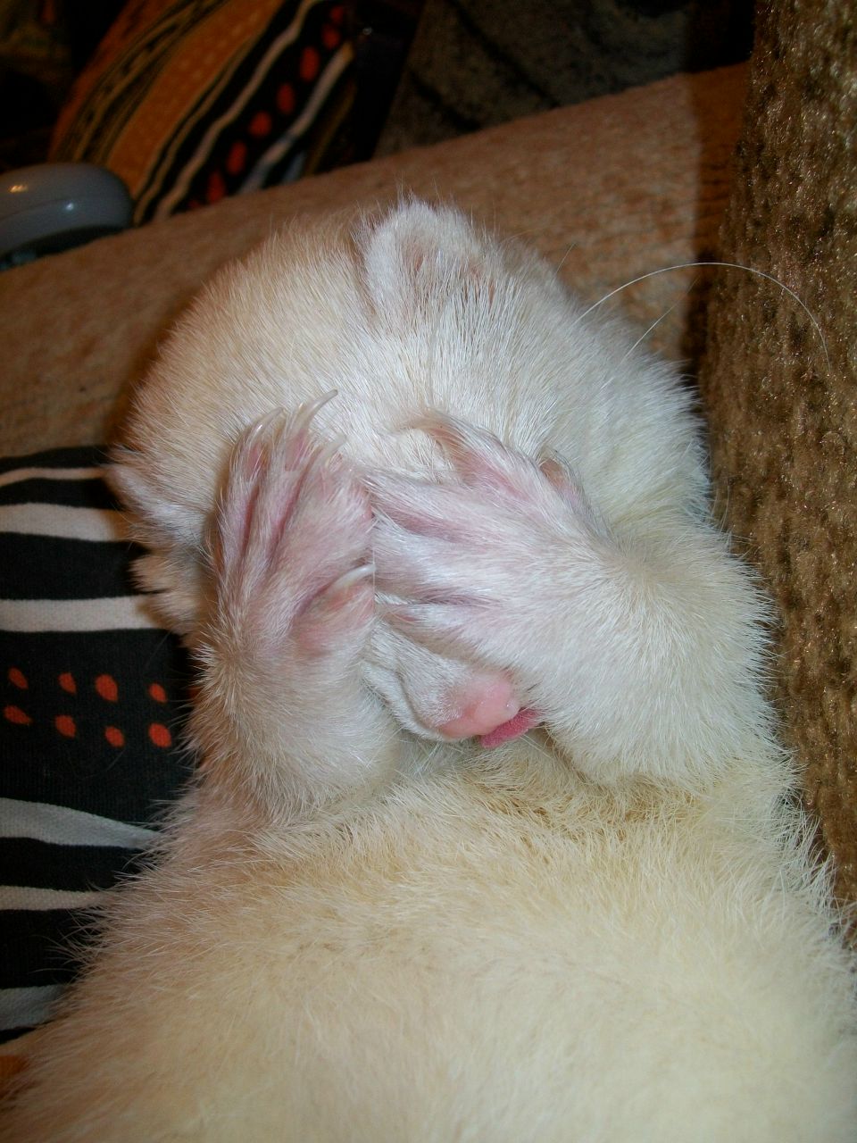 Suzi Alkaline | Уфа