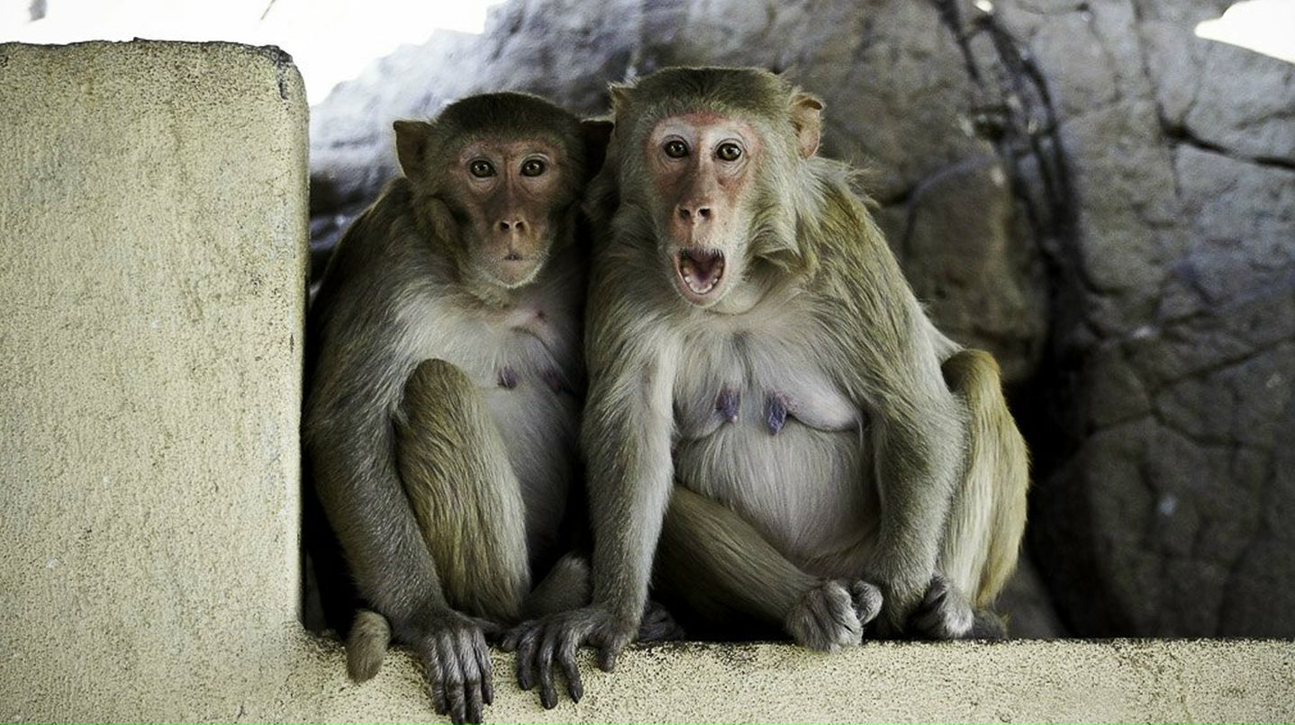 Александра Липченко | Самара