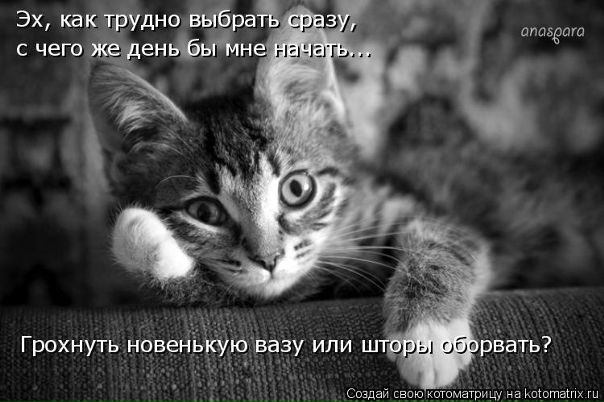 №6, Александр Кузнецов, 27 лет №6, Александр Кузнецов, 27 лет