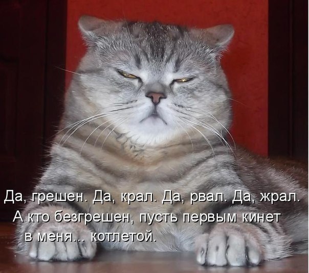 №4, Катерина Варченко, Киев №4, Катерина Варченко, Киев