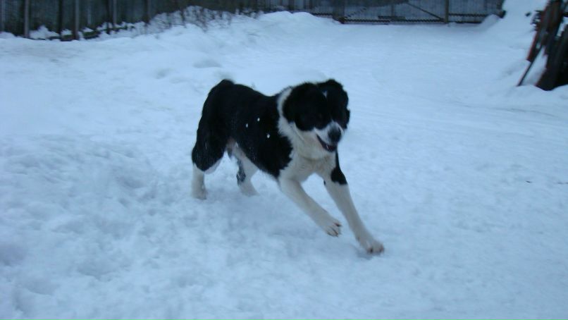 Анастасия Макарова | Санкт-Петербург