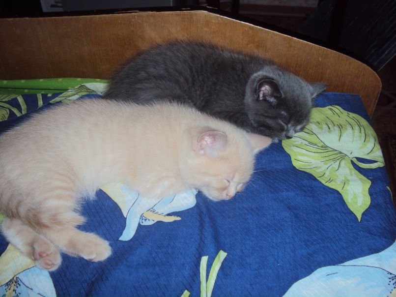 Ирина Тюменева | Новокузнецк