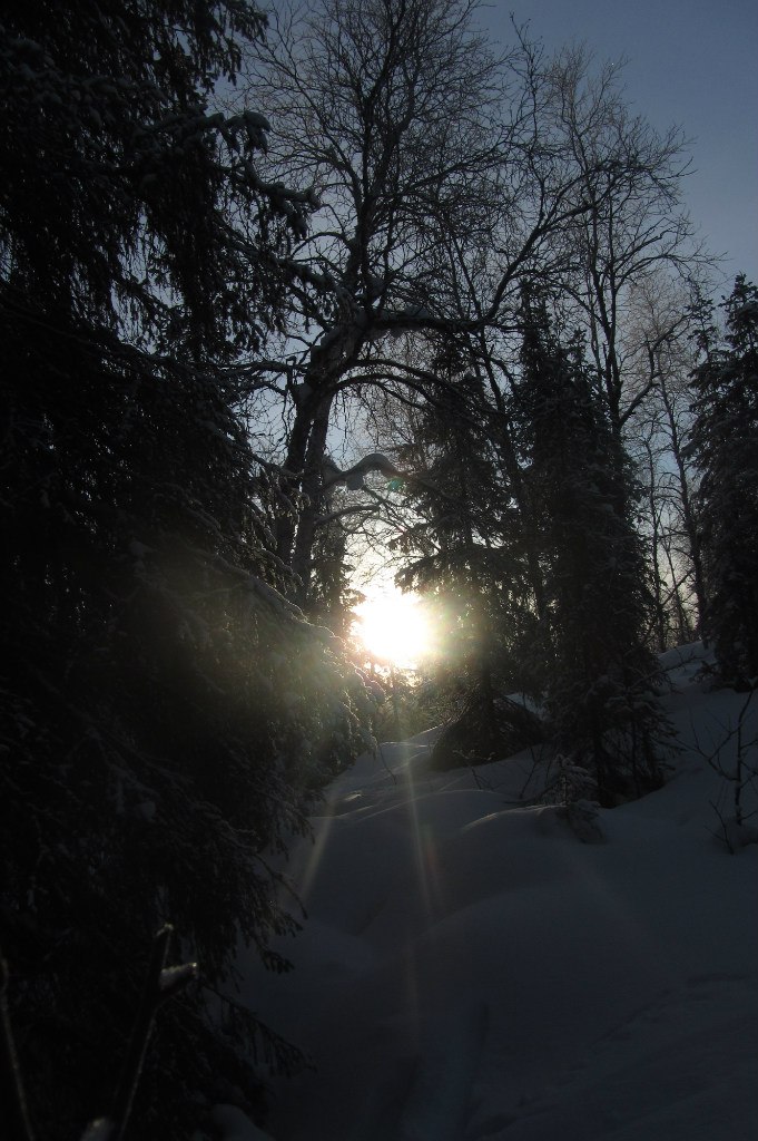 Арсений Петрик | Харьков
