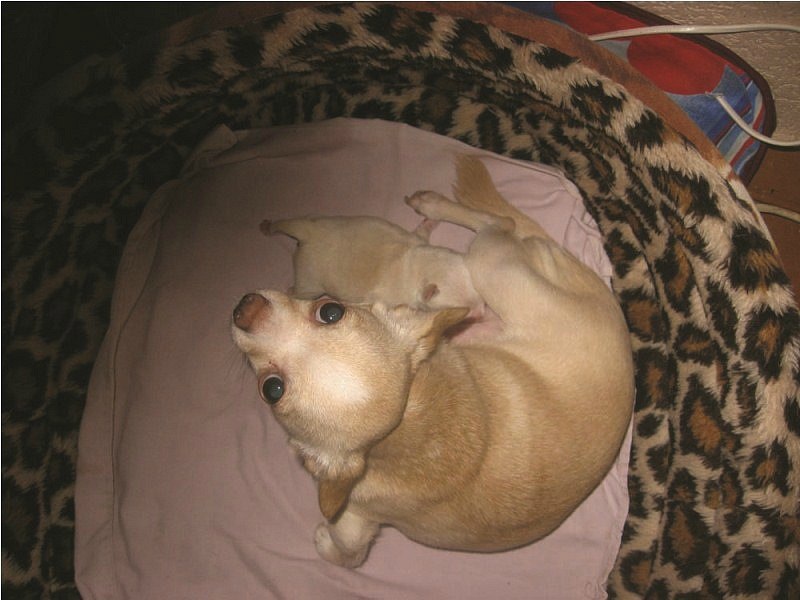 Маргарита Валенто | Брест