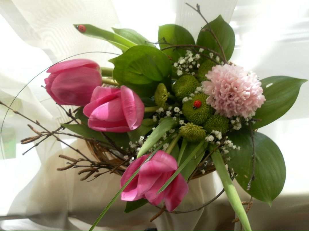 Анна Сафонова | Новосибирск