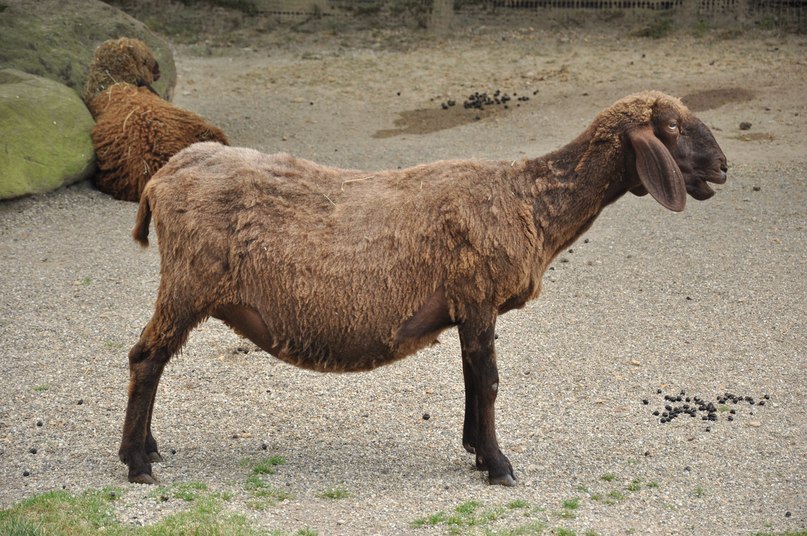 Кристина Яковлева | Wien