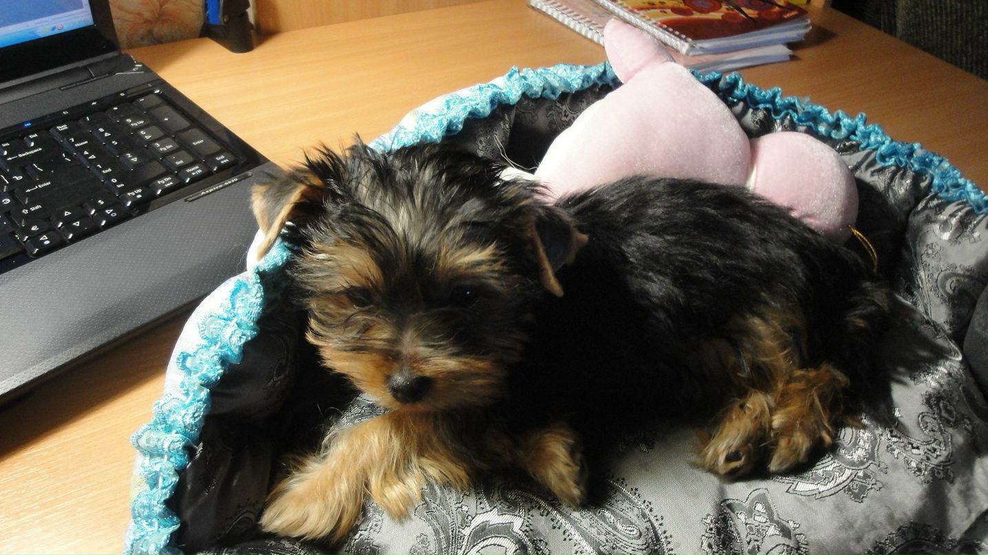 Marina Skorodumova | Мурманск