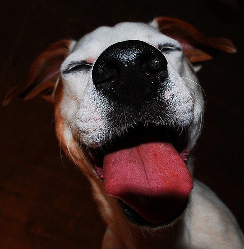 Максим Дёмин | Москва