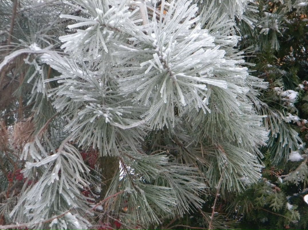 Елена Соколова | Москва
