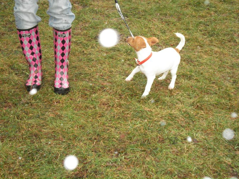 №118, Виктория Ляпина №118, Виктория Ляпина