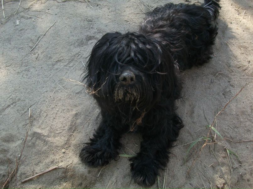 Виктория Сухоржевская | Иркутск