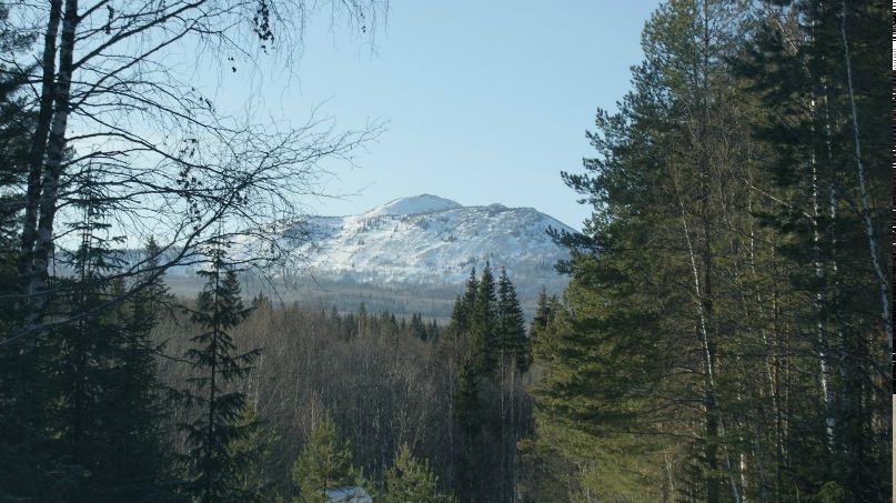 Иван Нелогин | Hamburg