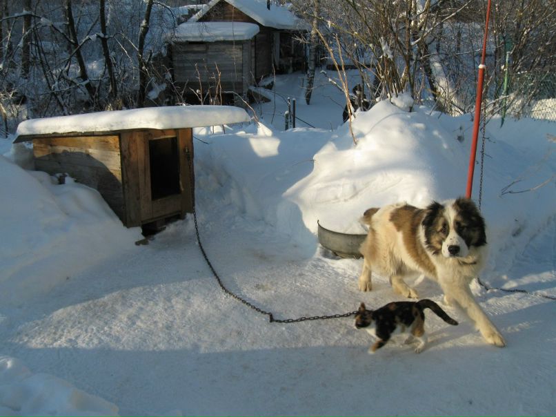 Сергей Соколов 