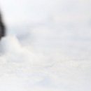 №20, Юлія Онищенко, 27 лет, Черкассы №20, Юлія Онищенко, 27 лет, Черкассы