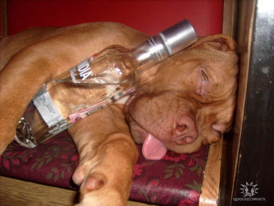 №1, Алексей Симиохин №1, Алексей Симиохин