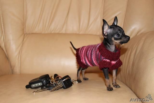 Наталия Черникова | 