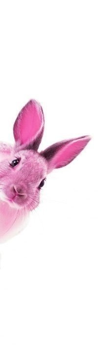 Марина Белова | Сургут