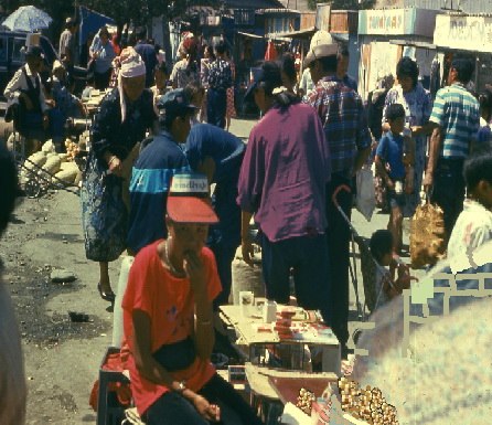 Никита Шевченко | Санкт-Петербург