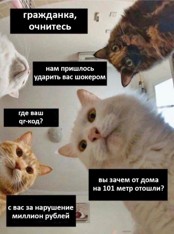 0DKI8TqK3uc.jpg