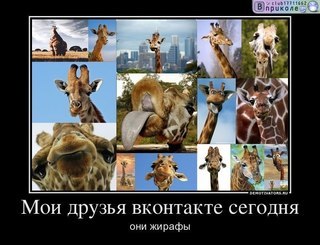 №199, Анастасия Надточая, Харьков №199, Анастасия Надточая, Харьков