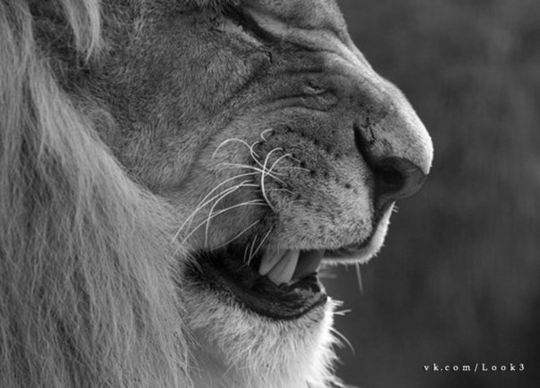 Ваня Намёткин JUDO | 