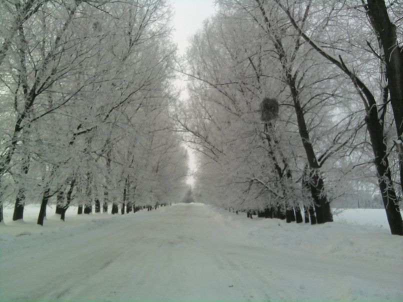 Вова Попик | Винница