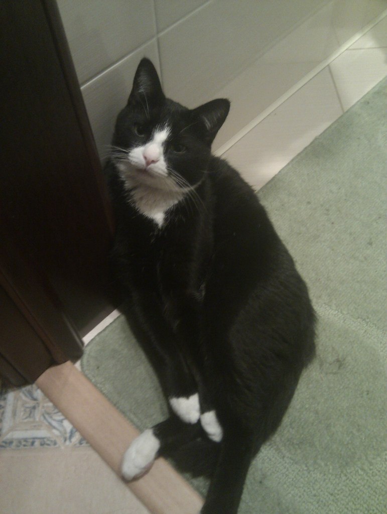 Александр Гончаров | Москва