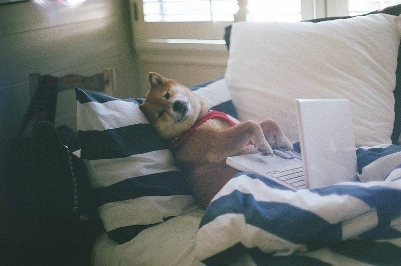 Астемир Блиев | Нальчик